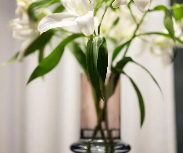 Native Kosciuszki 39 Apartment Krakow