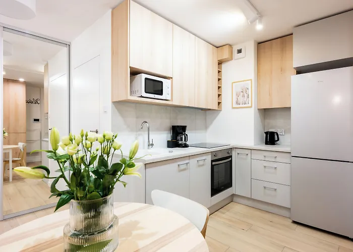 Native Kosciuszki 39 Apartment Krakow